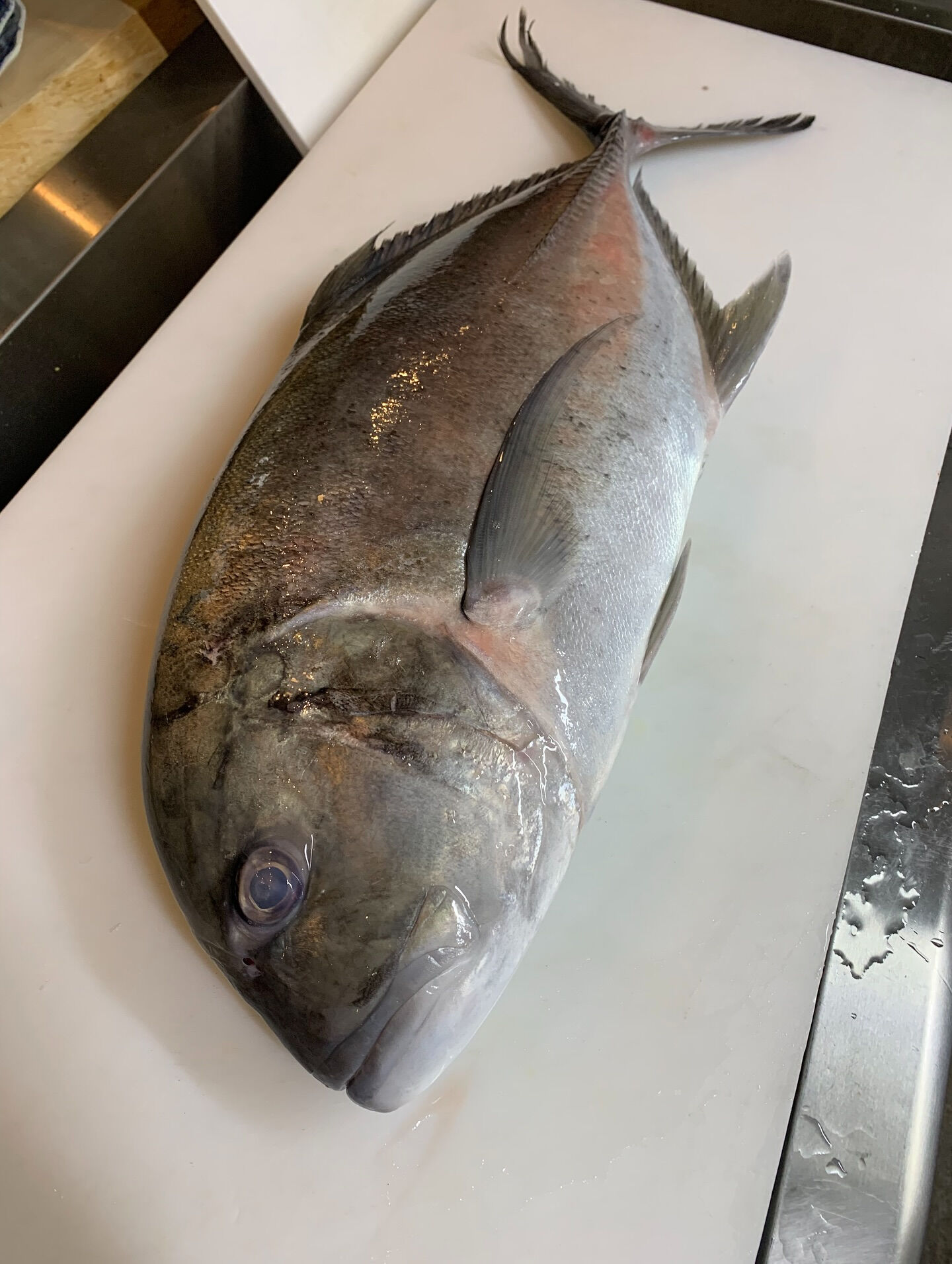海蛇食堂の名物の一つ