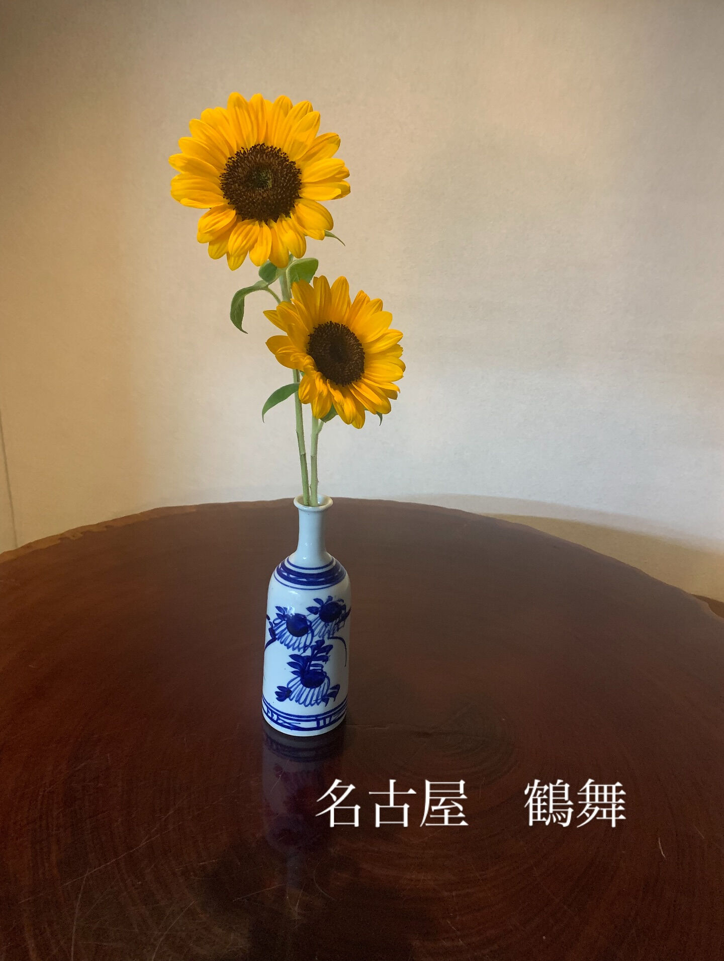 海蛇食堂ではドライエイジングという技法で様々なお肉を熟成して