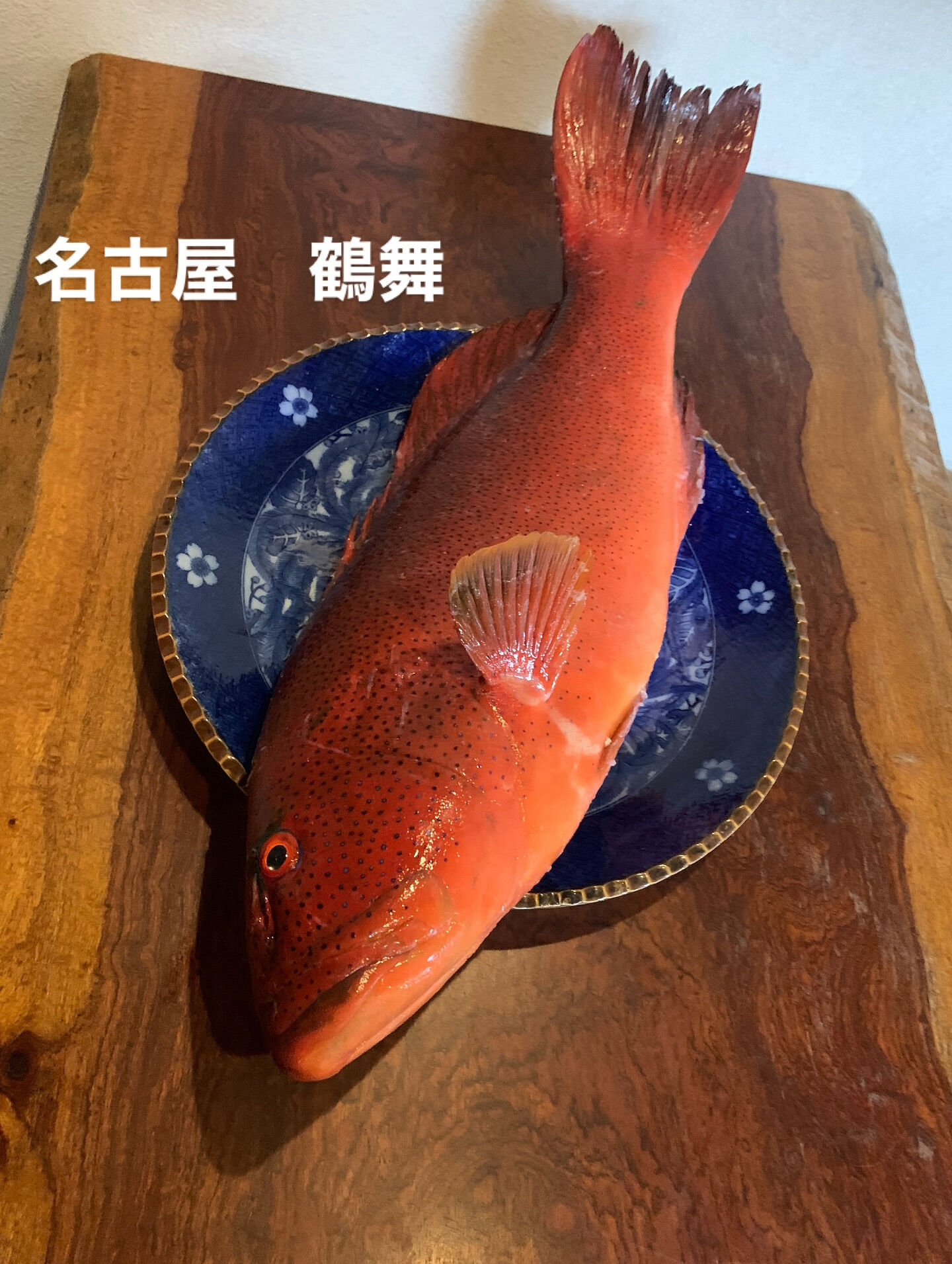 鹿児島直送鮮魚　今は5キロupのスジアラを販売中！