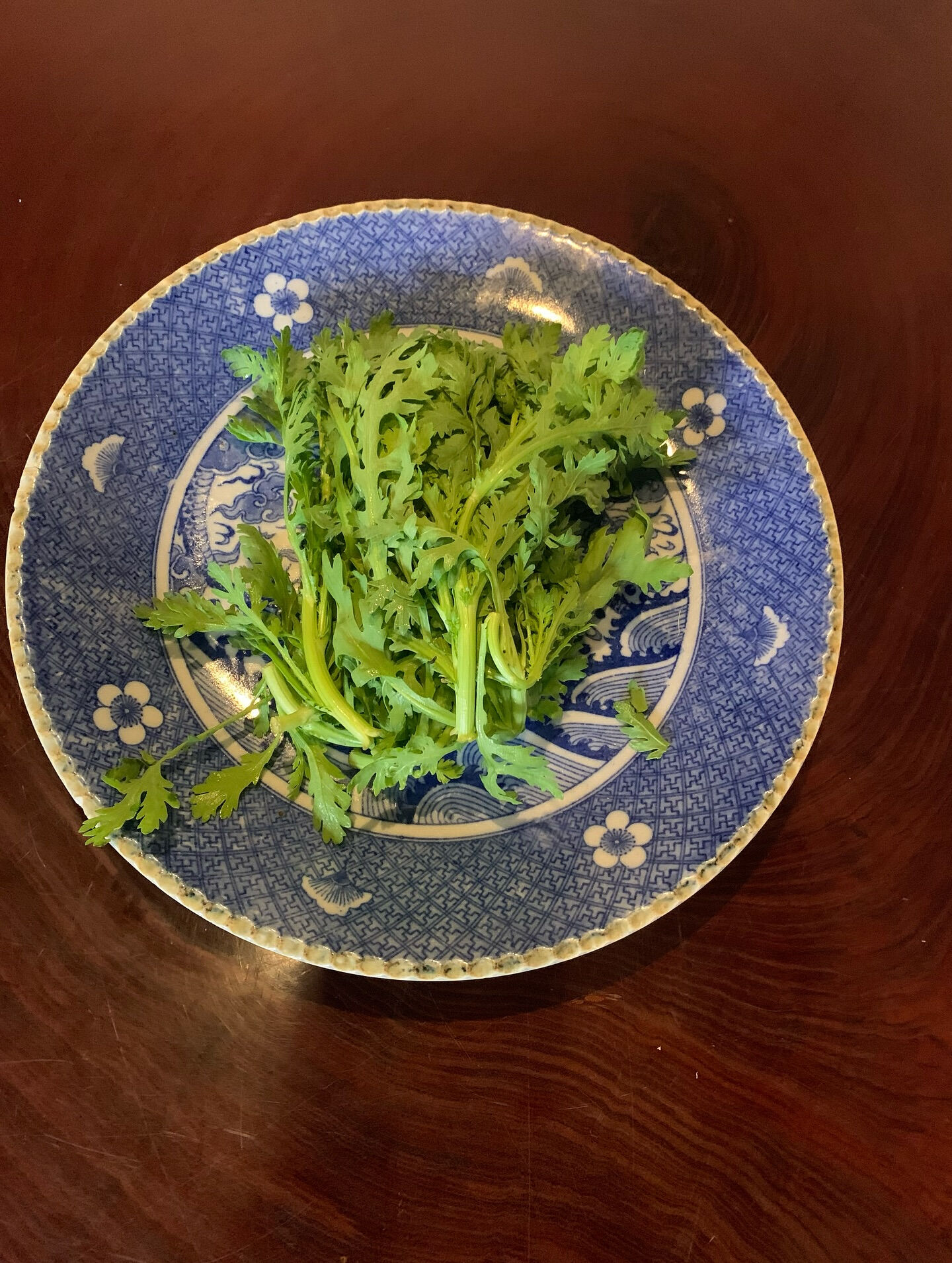 今日は無農薬栽培の朝市で沢山野菜を仕入れました