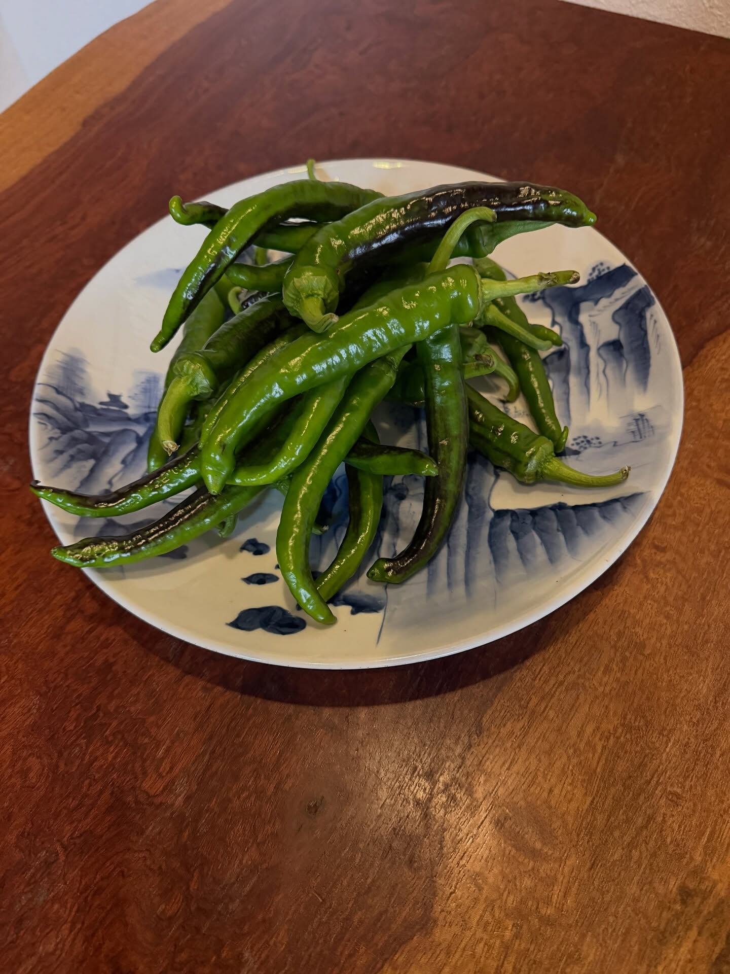 名古屋近郊で無農薬栽培野菜を育てている農家さんが集まる朝市で